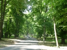 parc Buftea